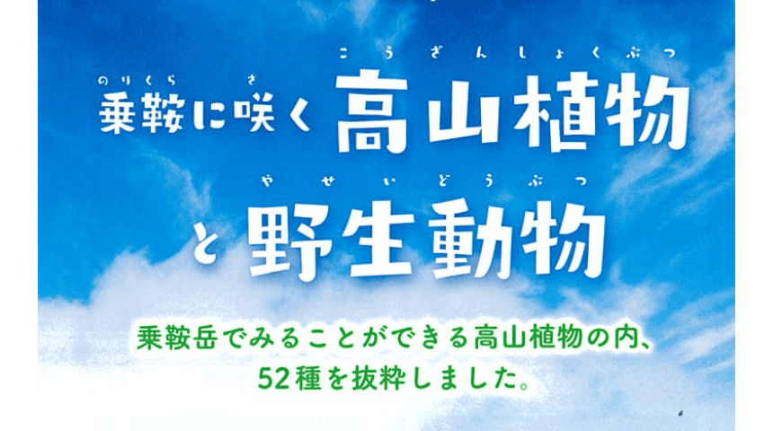 乗鞍に咲く高山植物と野生動物【PDF閲覧のみ可能（送付不可）】